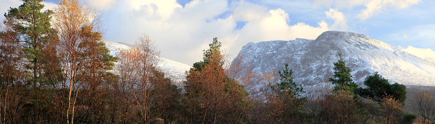 Woodside's view of Ben Nevis just outside Fort William