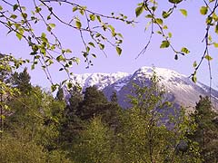 A view of Ben Nevis from Woodside's deck